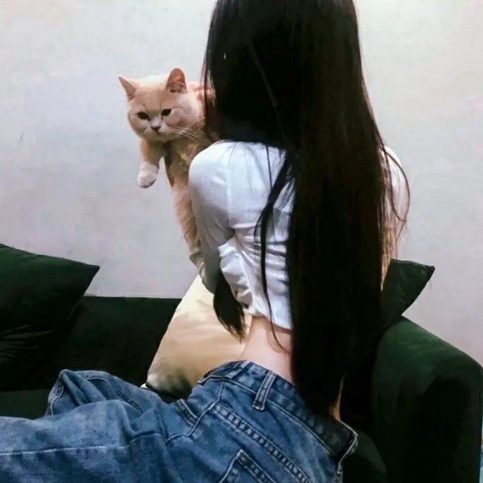 杀手与娇娃